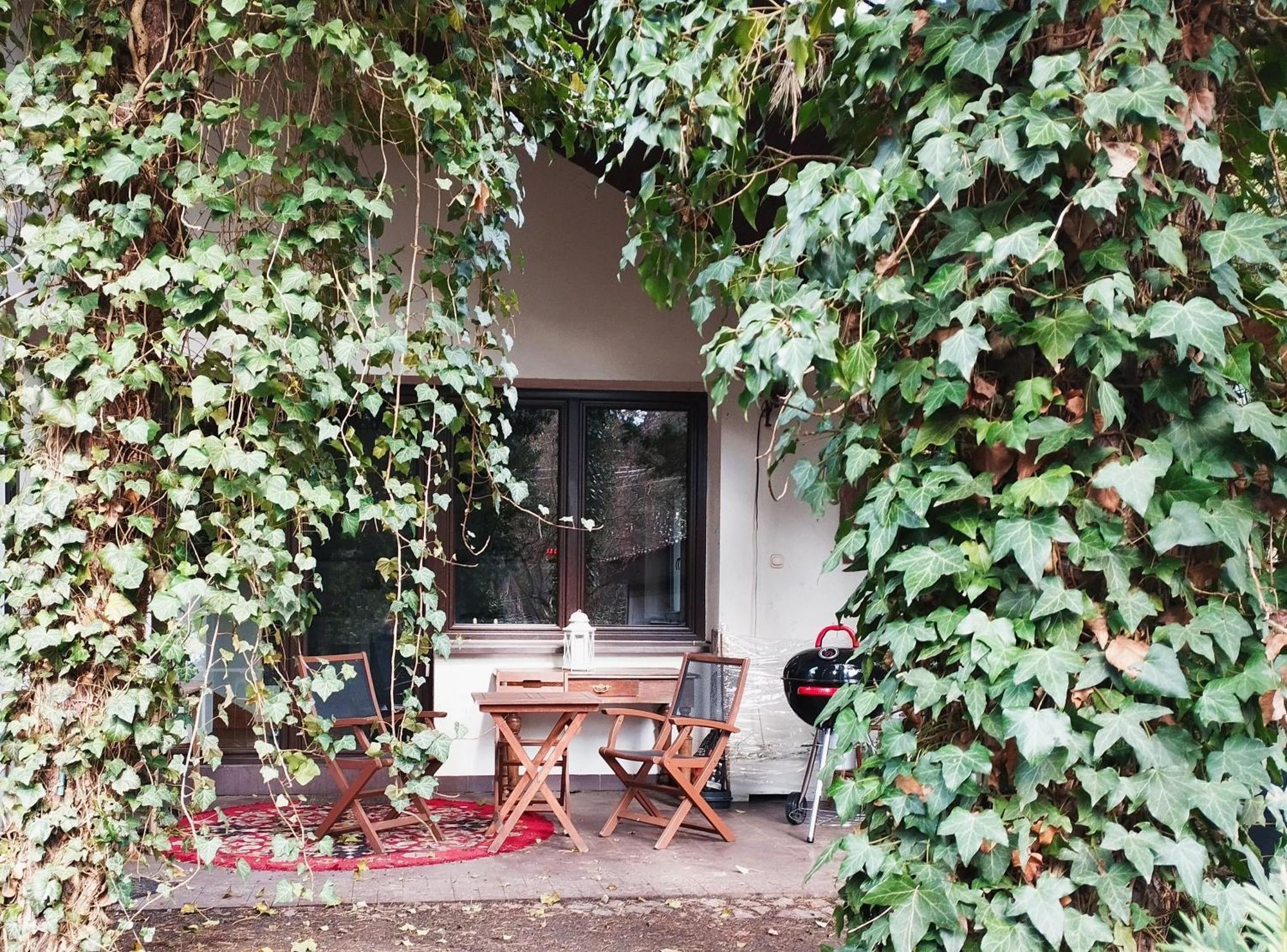 Nest 4 Rest Hotel Konstancin-Jeziorna Bagian luar foto